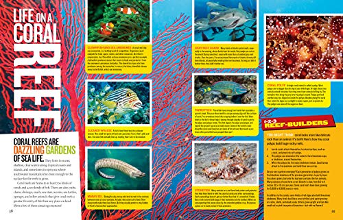 Extreme Ocean: Amazing Animals, High-Tech Gear, Record-Breaking Depths, and More (NGK Extreme)