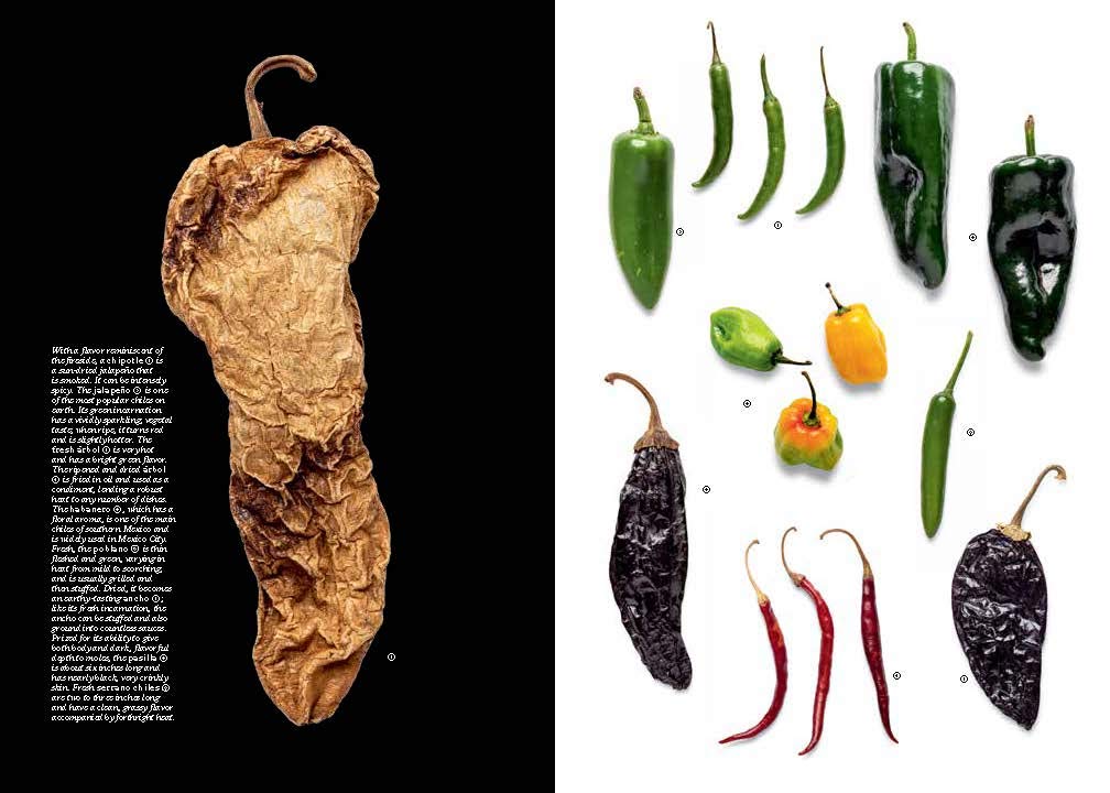 World Food: Mexico City: Heritage Recipes for Classic Home Cooking [A Mexican Cookbook]
