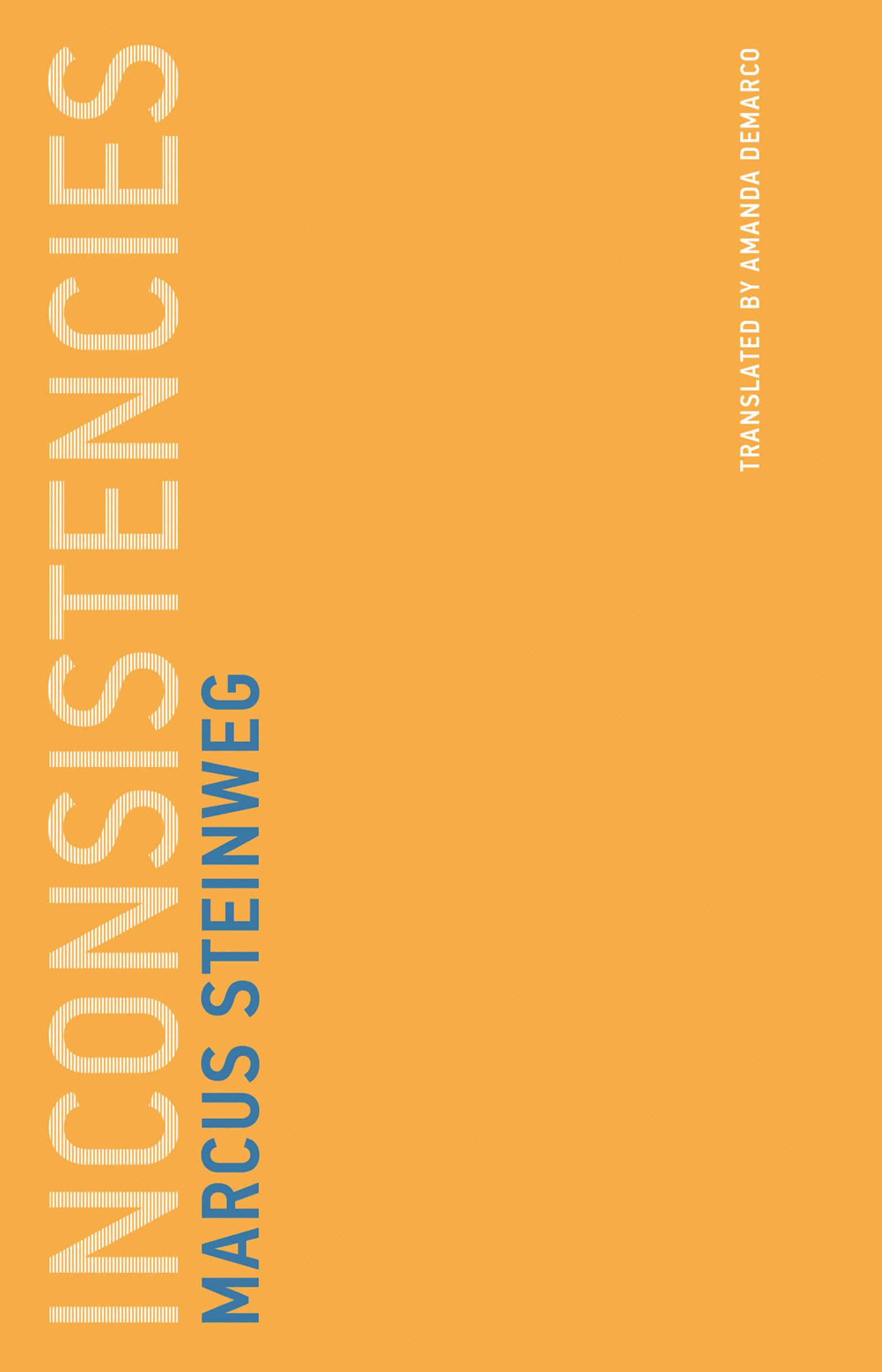 Inconsistencies (Untimely Meditations)