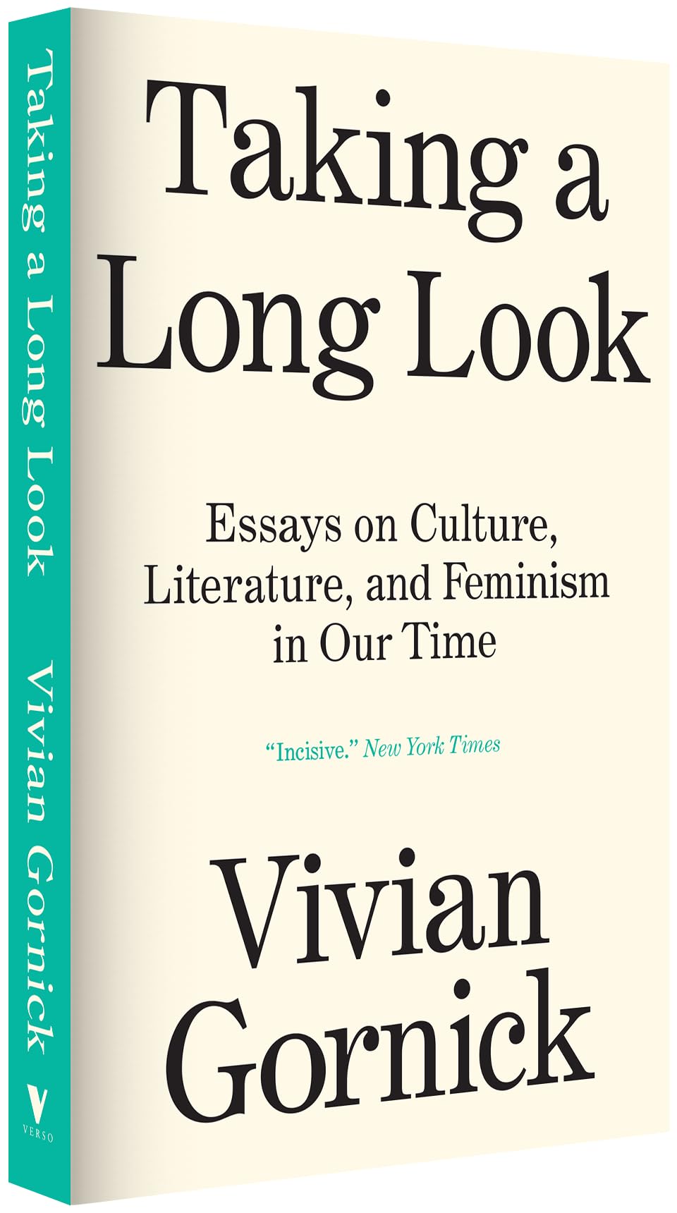 Taking A Long Look: Essays on Culture, Literature and Feminism in Our Time