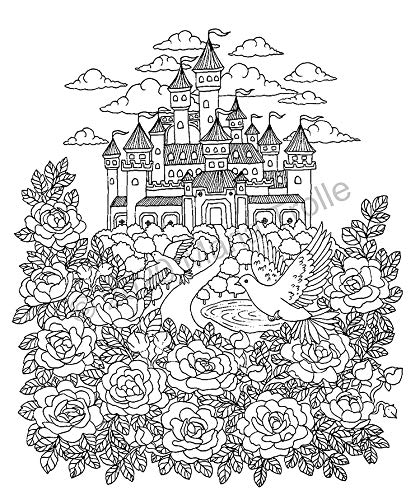 Botanicum Coloring Book: Special Edition (Maria Trolle)