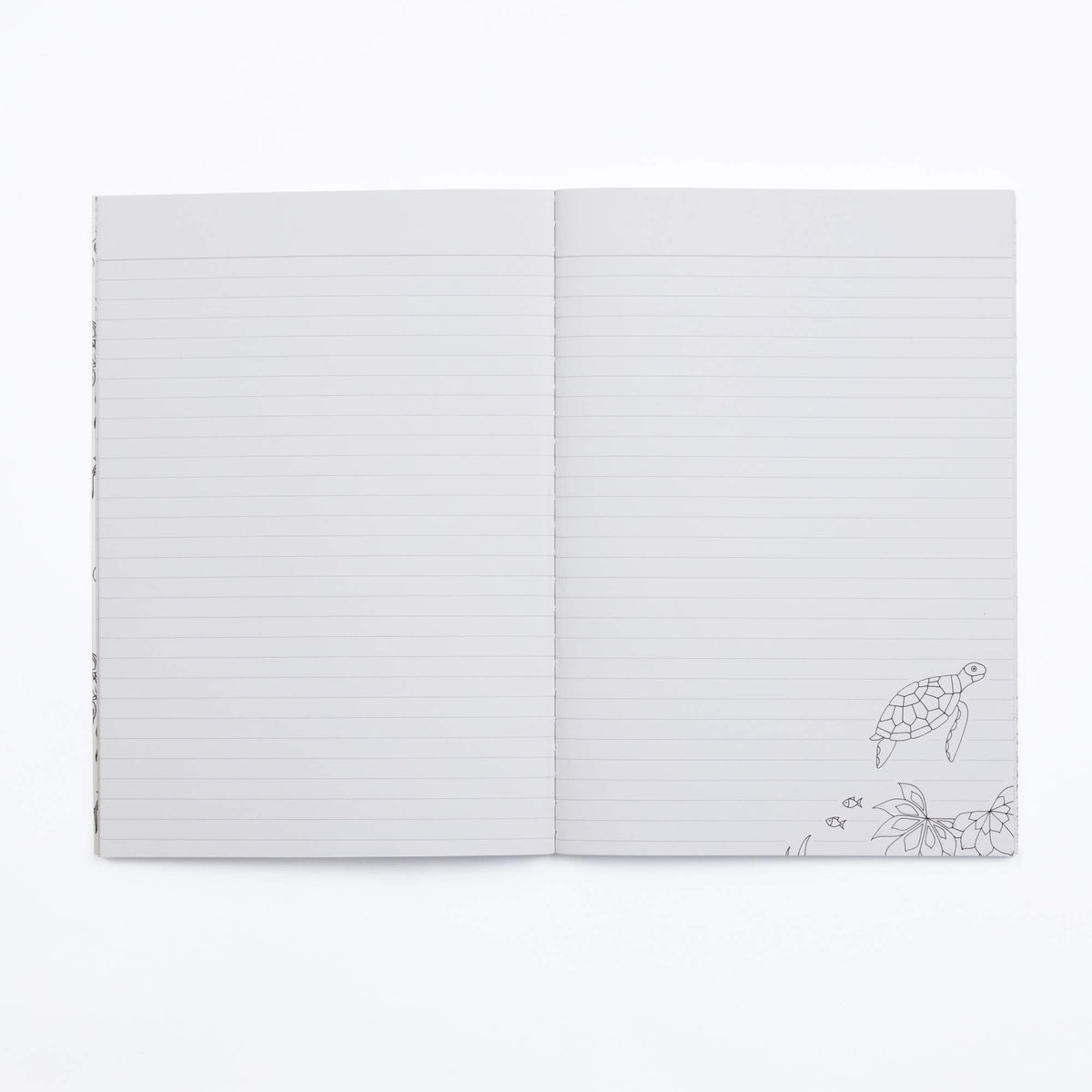 Johanna Basford Land, Sea, and Sky: Three Colorable Notebooks
