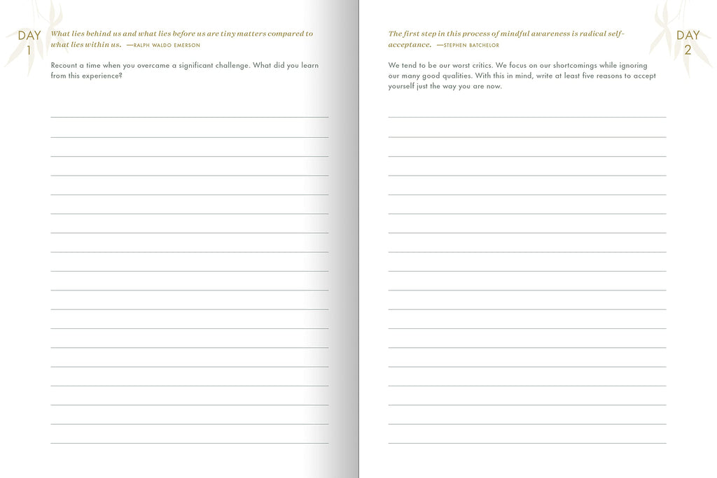 The Resilience Journal: 365 Days to Balance and Peace of Mind