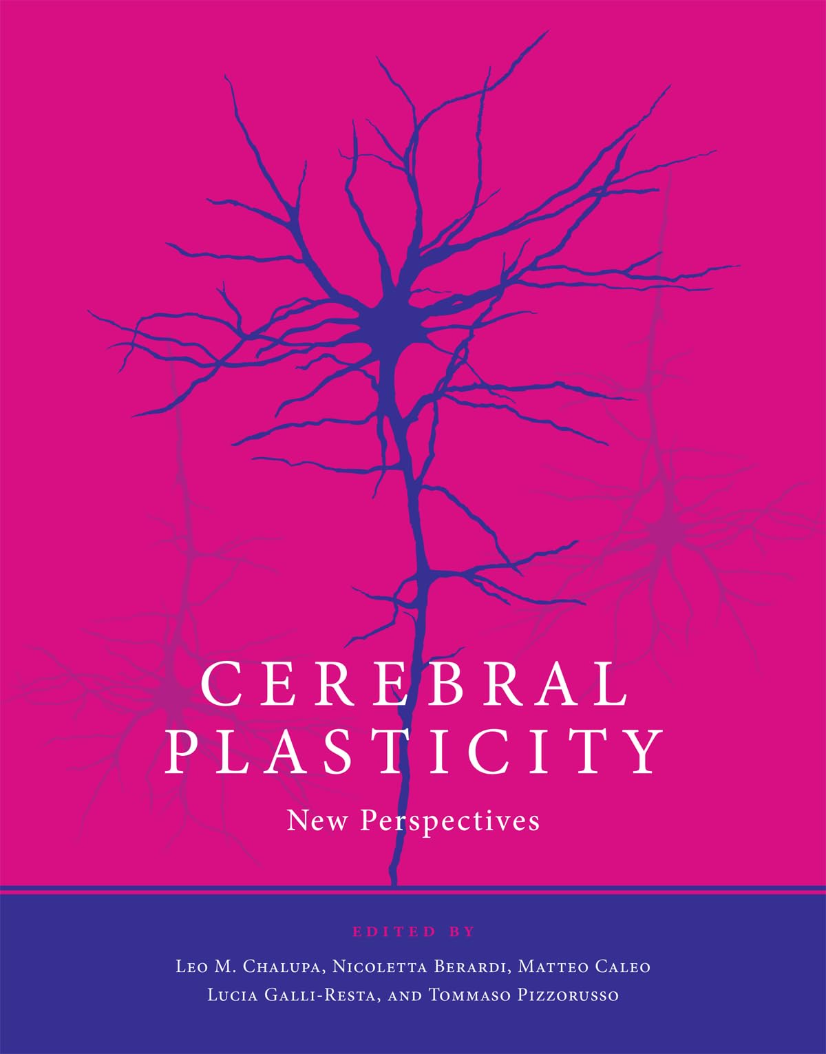 Cerebral Plasticity: New Perspectives (Mit Press)