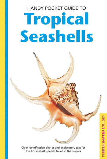Handy Pocket Guide to Tropical Seashells (Handy Pocket Guides)