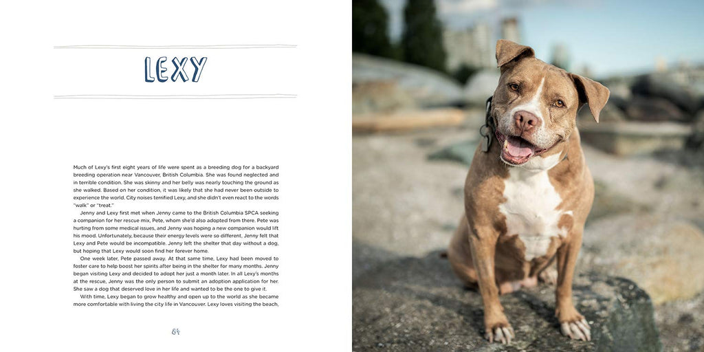Pit Bull Heroes: 49 Underdogs with Resilience and Heart