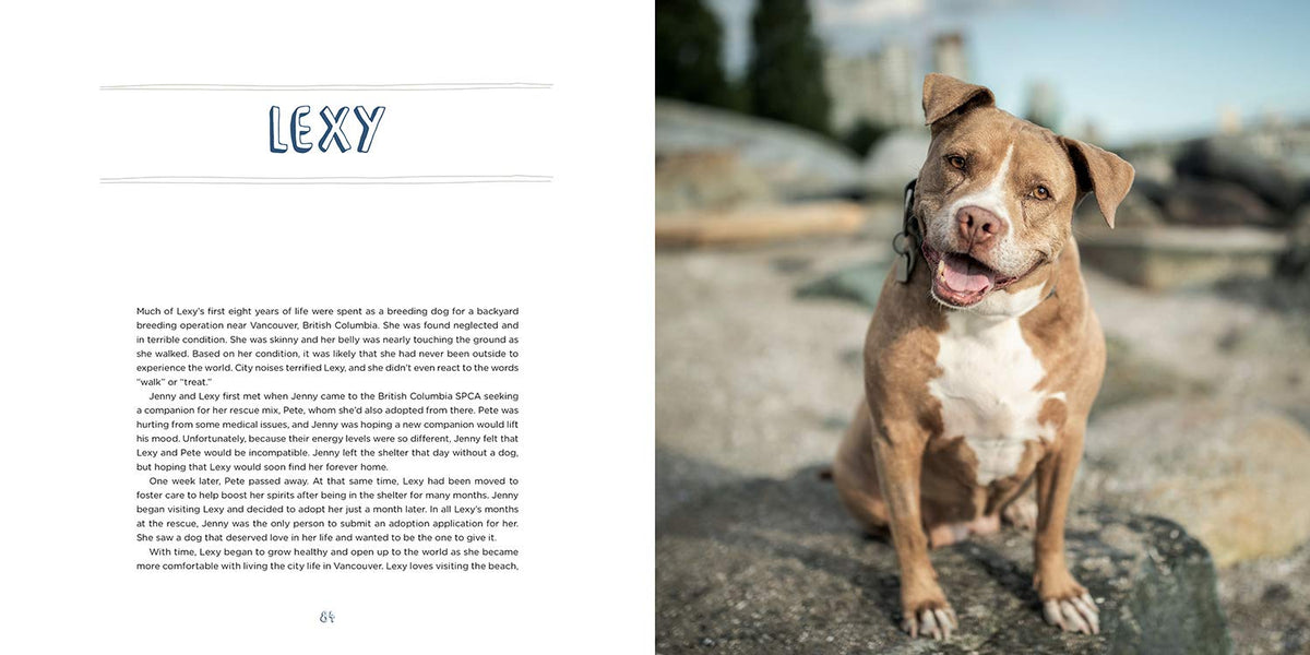 Pit Bull Heroes: 49 Underdogs with Resilience and Heart