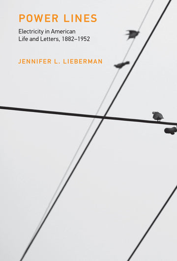 Power Lines: Electricity in American Life and Letters, 1882-1952 (Inside Technology)