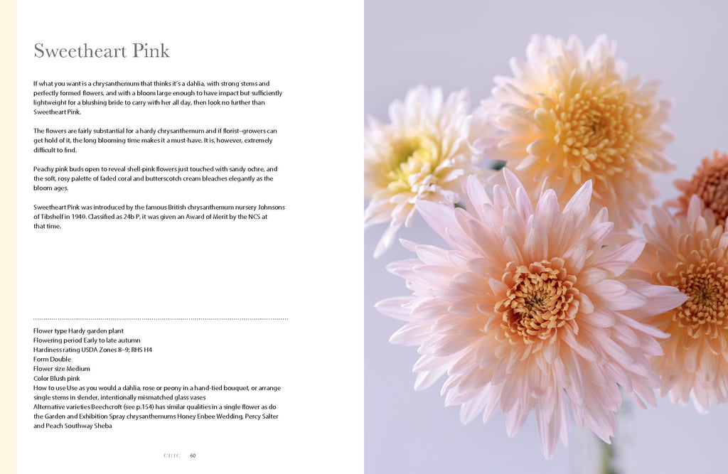 Chrysanthemums: Beautiful Varieties for Home and Garden (Flowers)