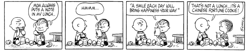 Snoopy Slipcase Set (PEANUTS)