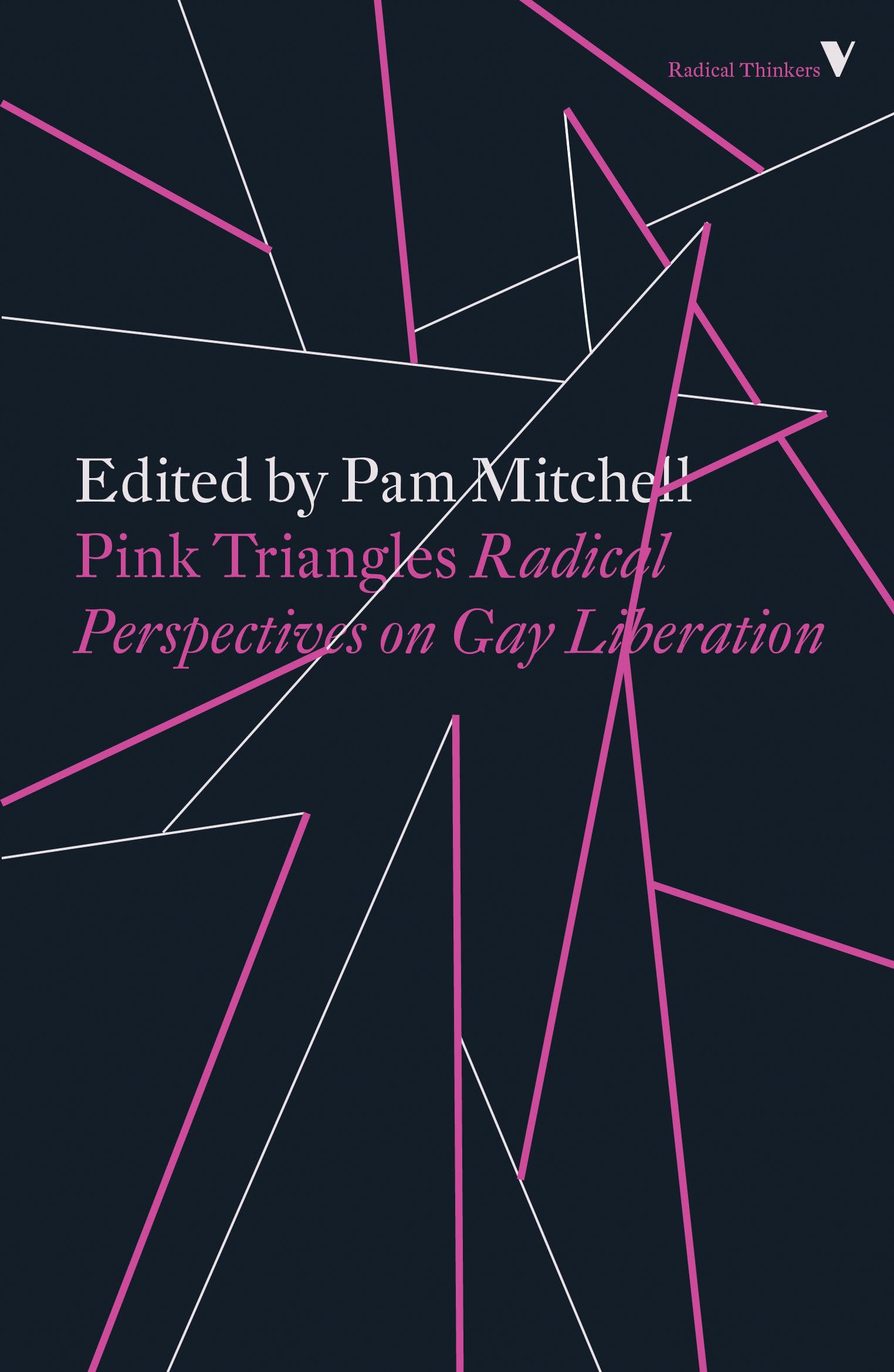 Pink Triangles: Radical Perspectives on Gay Liberation (Radical Thinkers)