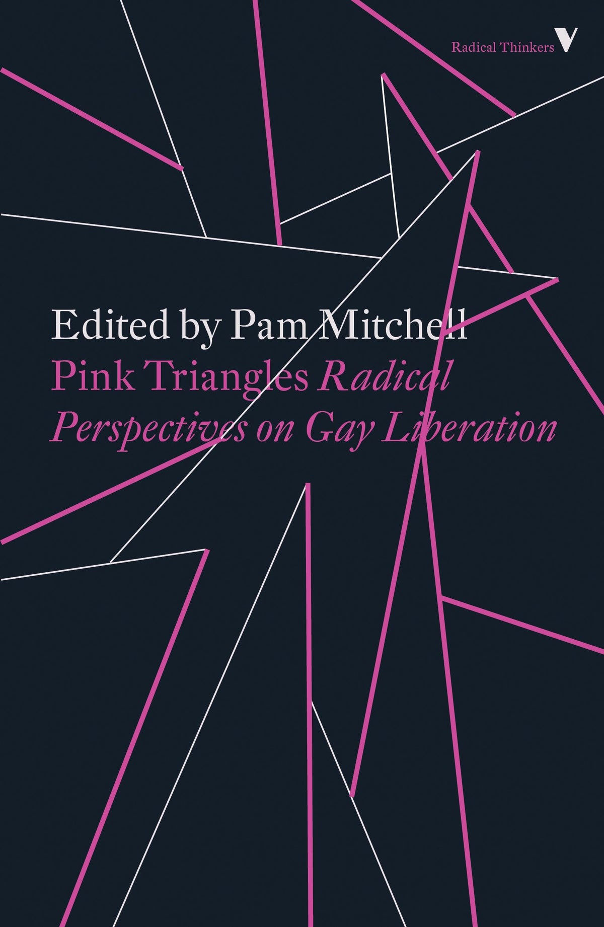 Pink Triangles: Radical Perspectives on Gay Liberation (Radical Thinkers)