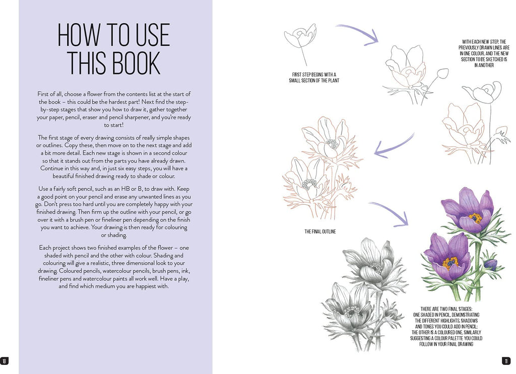 Draw 100: Flowers: From basic shapes to amazing drawings in super-easy steps