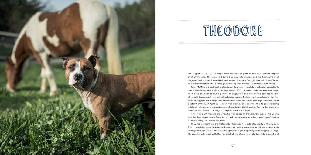 Pit Bull Heroes: 49 Underdogs with Resilience and Heart