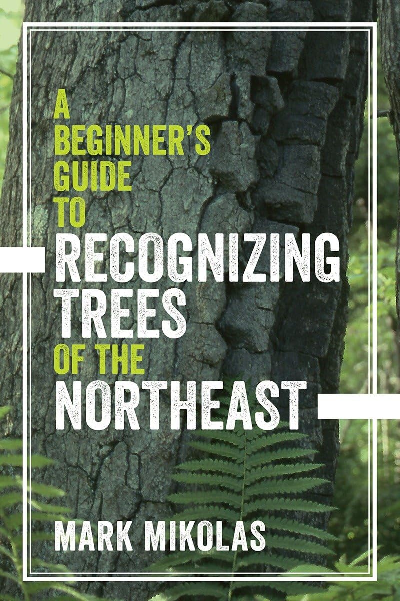A Beginner's Guide to Recognizing Trees of the Northeast