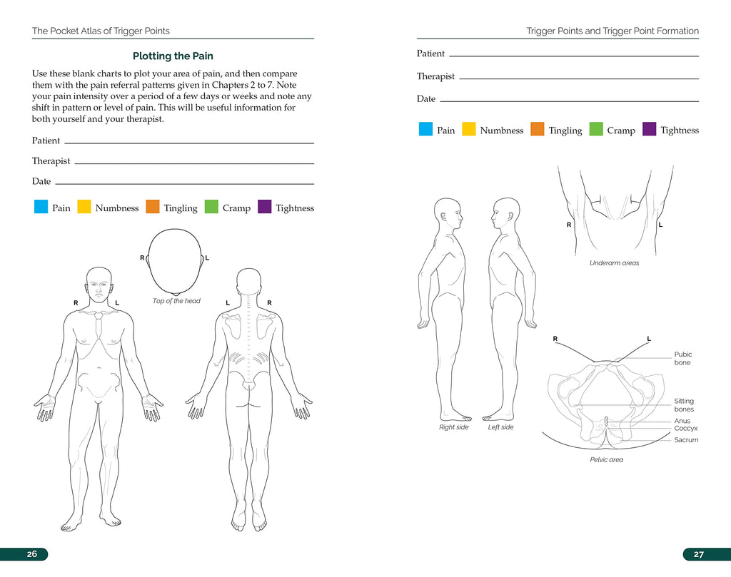 The Pocket Atlas of Trigger Points: A User-Friendly Guide to Muscle Anatomy, Pain Patterns, and the Myofascial Network for Students, Practitioners, and Patients
