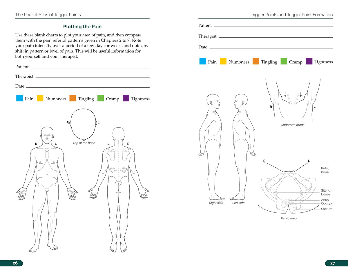 The Pocket Atlas of Trigger Points: A User-Friendly Guide to Muscle Anatomy, Pain Patterns, and the Myofascial Network for Students, Practitioners, and Patients