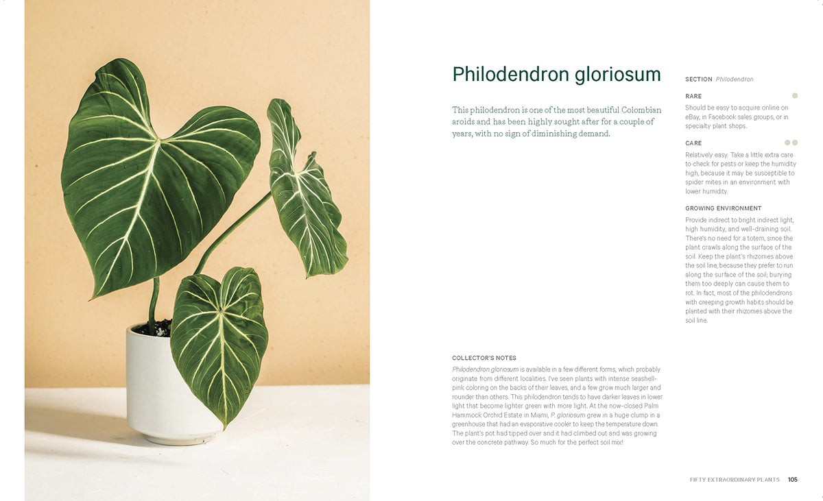 Welcome to the Jungle: Rare Tropical Houseplants to Collect, Grow, and Love