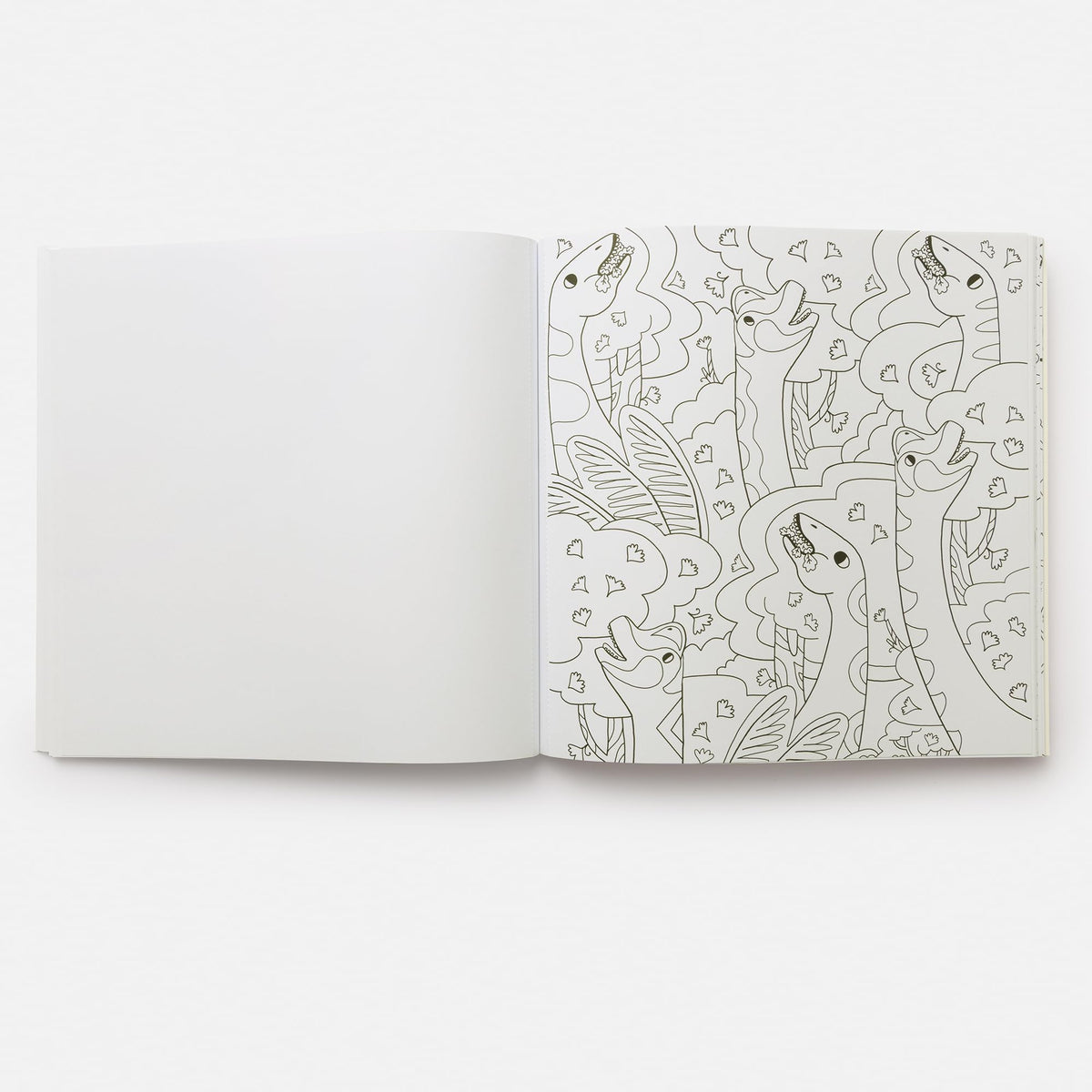 Dinosaurs Coloring Book: 40 Drawings to Color