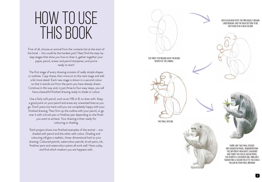 Draw 100: Animals: From basic shapes to amazing drawings in super-easy steps