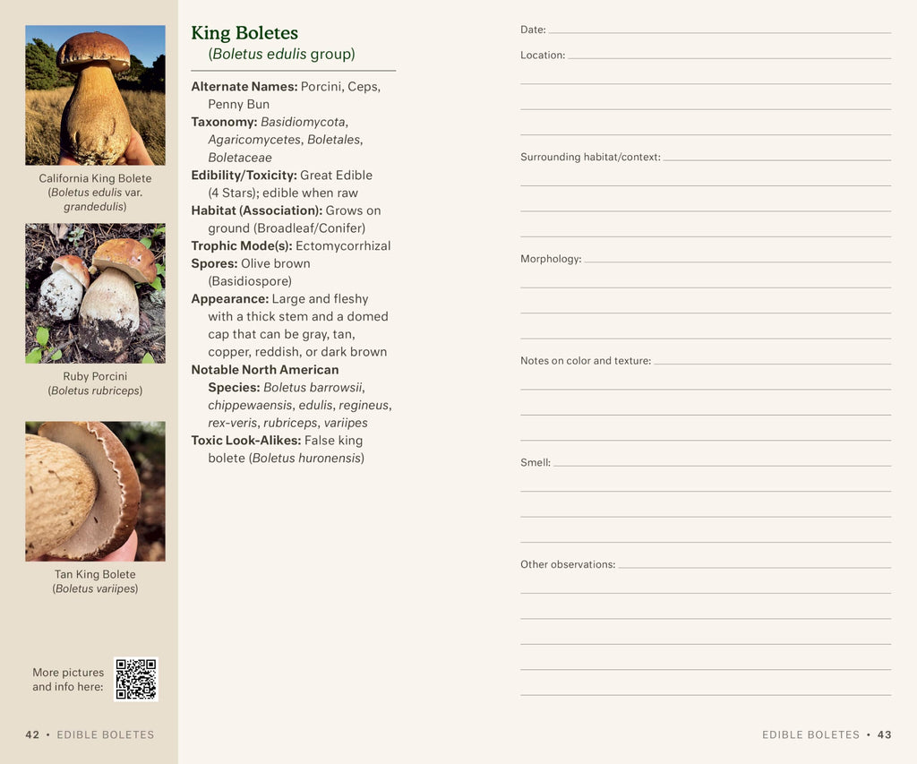 Dr. Fun Guy's Mushroom Journal and Foraging Guide