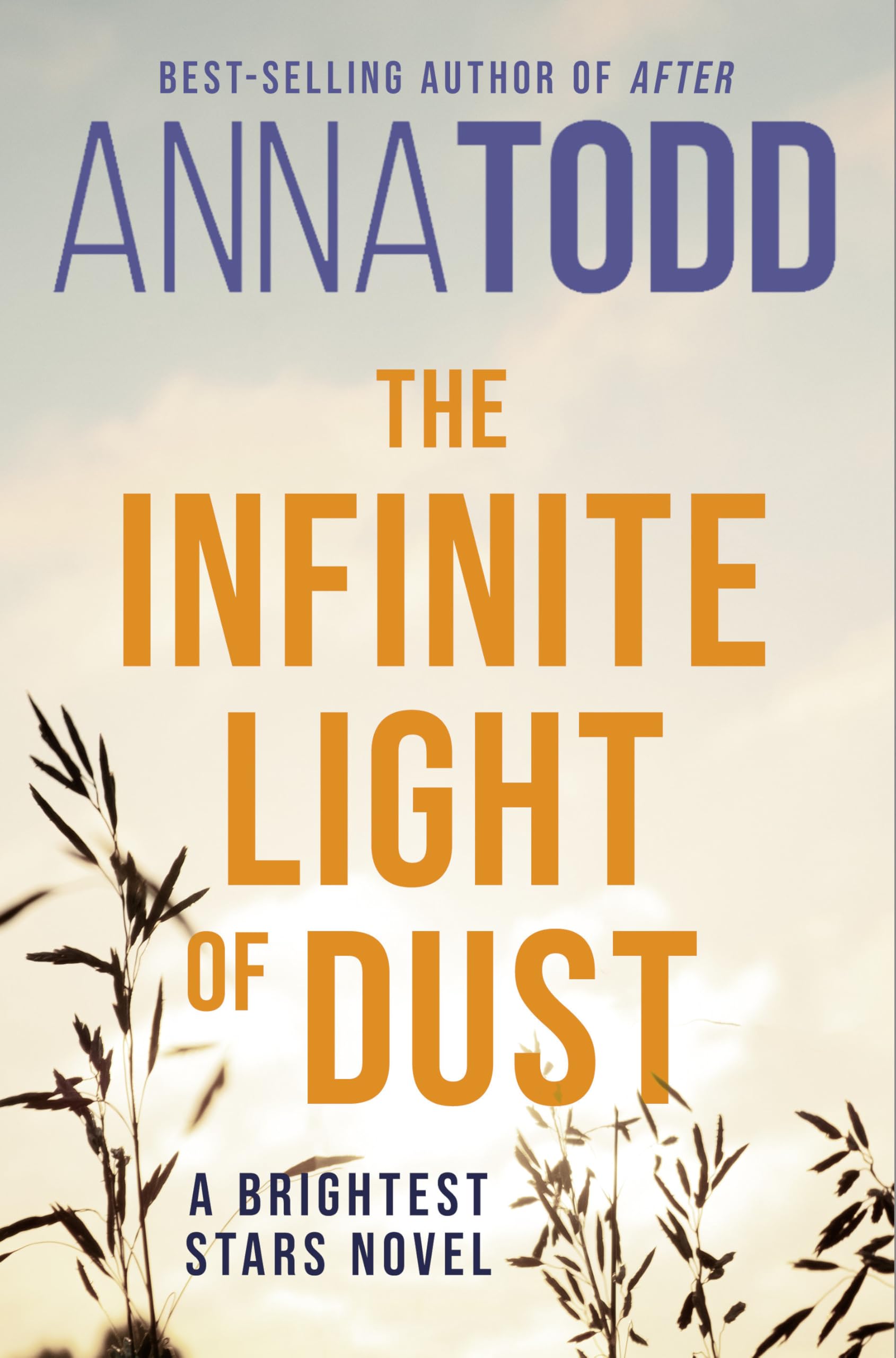 The Infinite Light of Dust (Brightest Stars)
