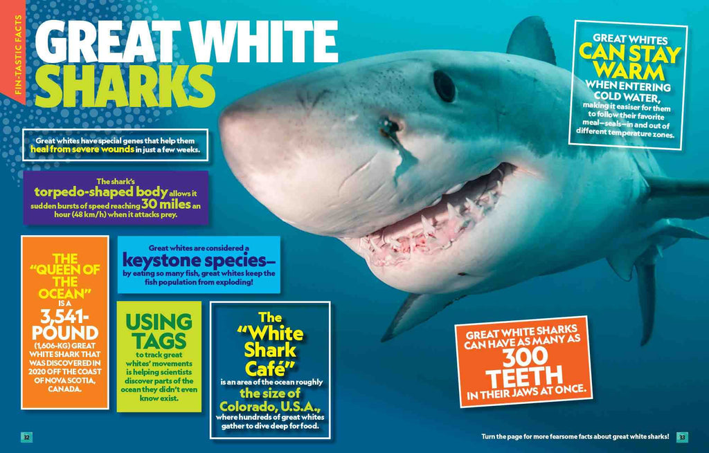 Can't Get Enough Shark Stuff: Fun Facts, Awesome Info, Cool Games, Silly Jokes, and More!