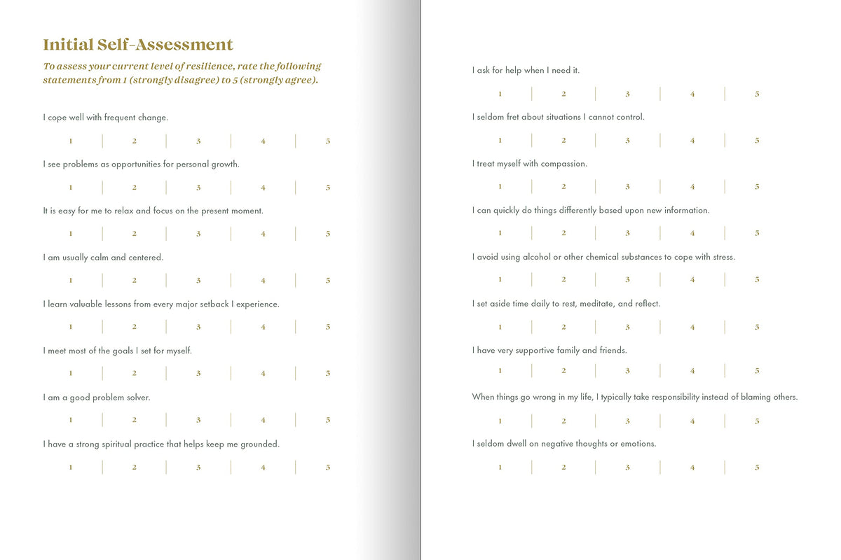 The Resilience Journal: 365 Days to Balance and Peace of Mind