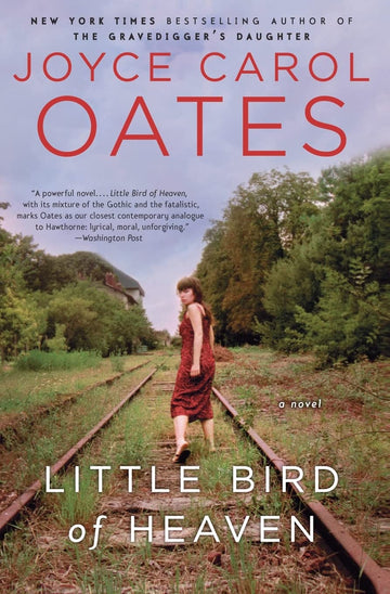 Little Bird Of Heaven: A Novel