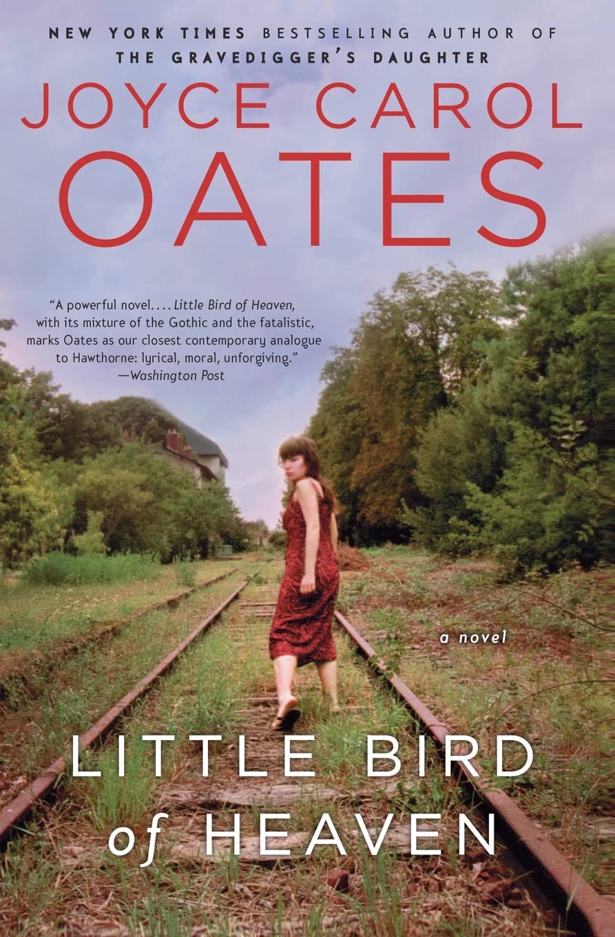 Little Bird Of Heaven: A Novel