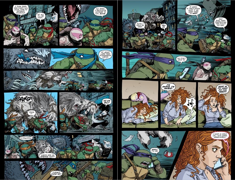 Teenage Mutant Ninja Turtles: The IDW Collection Volume 15 (TMNT IDW Collection)