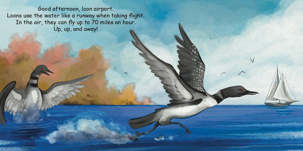 Good Night Loons (Good Night Our World)