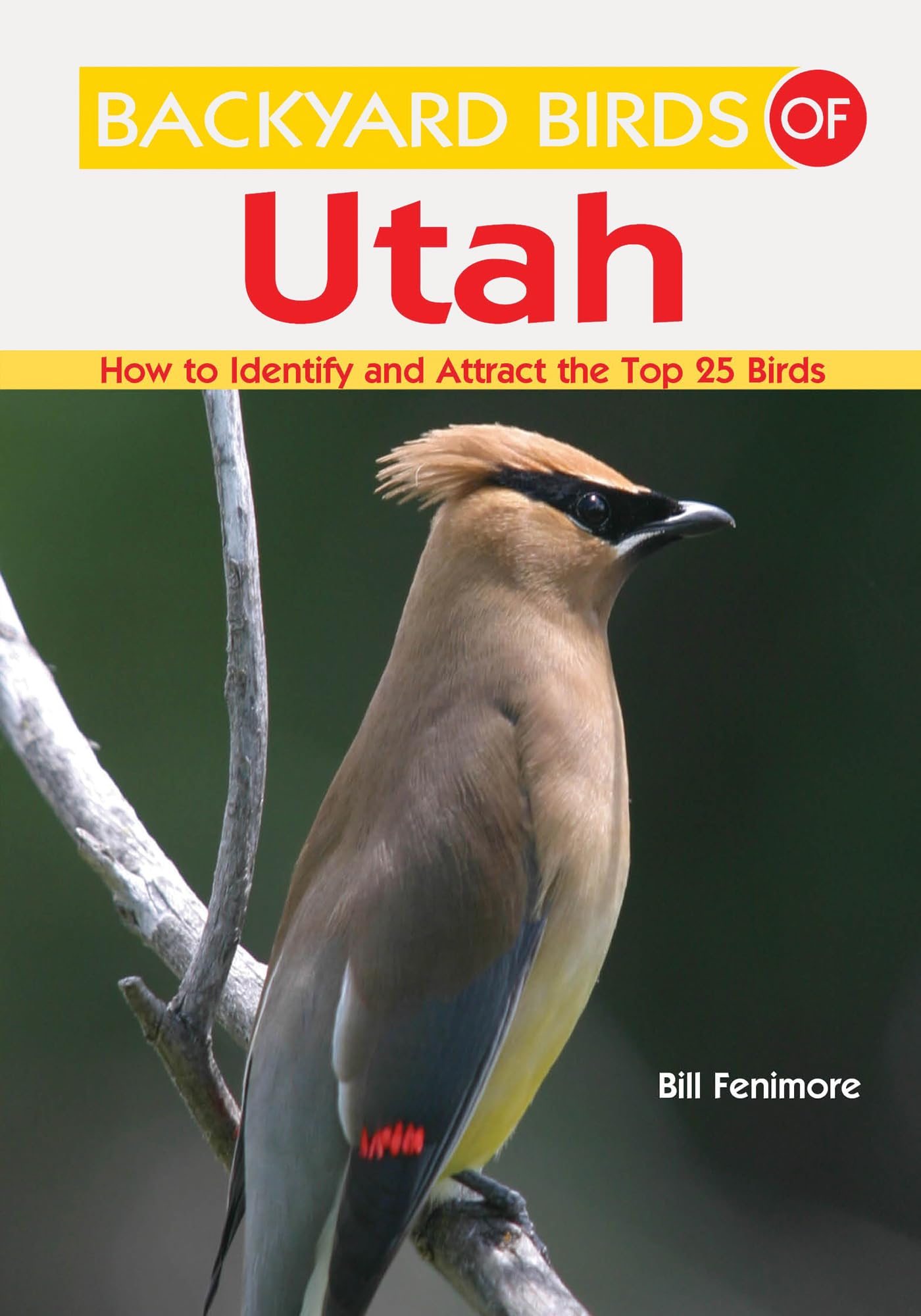 Backyard Birds of Utah
