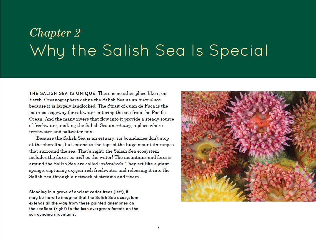 Explore the Salish Sea: A Nature Guide for Kids