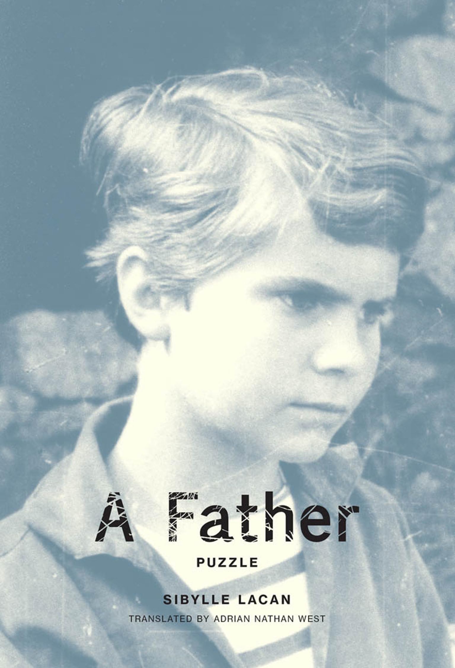 A Father: Puzzle (Mit Press)