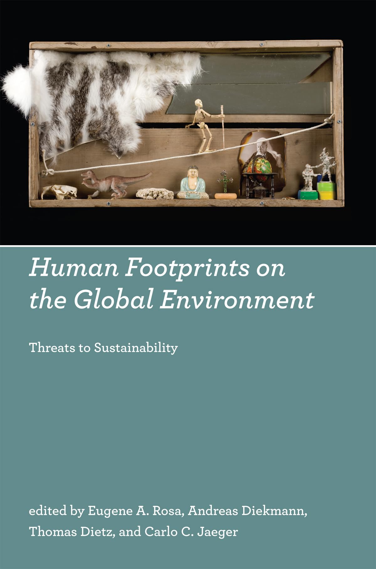 Human Footprints on the Global Environment: Threats to Sustainability (Mit Press)
