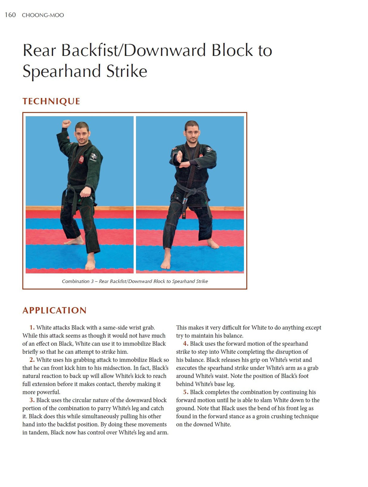 Taekwondo Grappling Techniques: Hone Your Competitive Edge for Mixed Martial Arts [DVD Included]