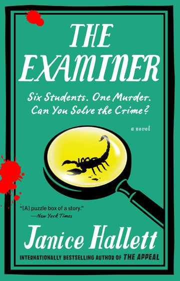 The Examiner: A Novel