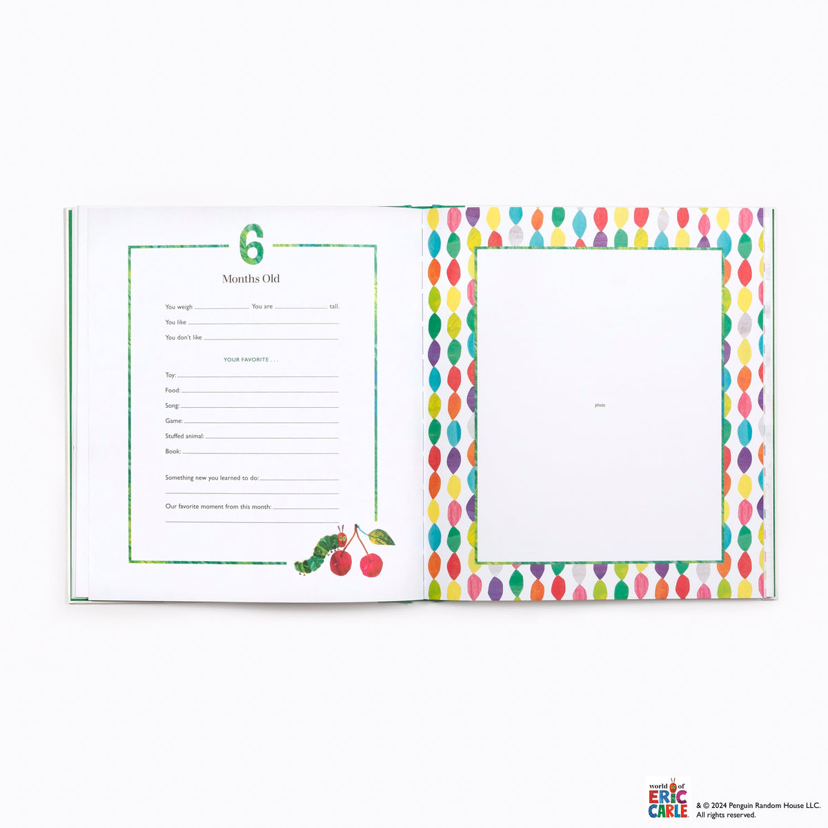 The Very Special Baby Book: A Record of Your Baby's First Year: Baby Keepsake Book with Milestone Stickers