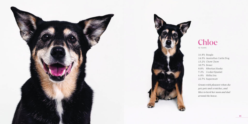 What Kind of Dog Is That?