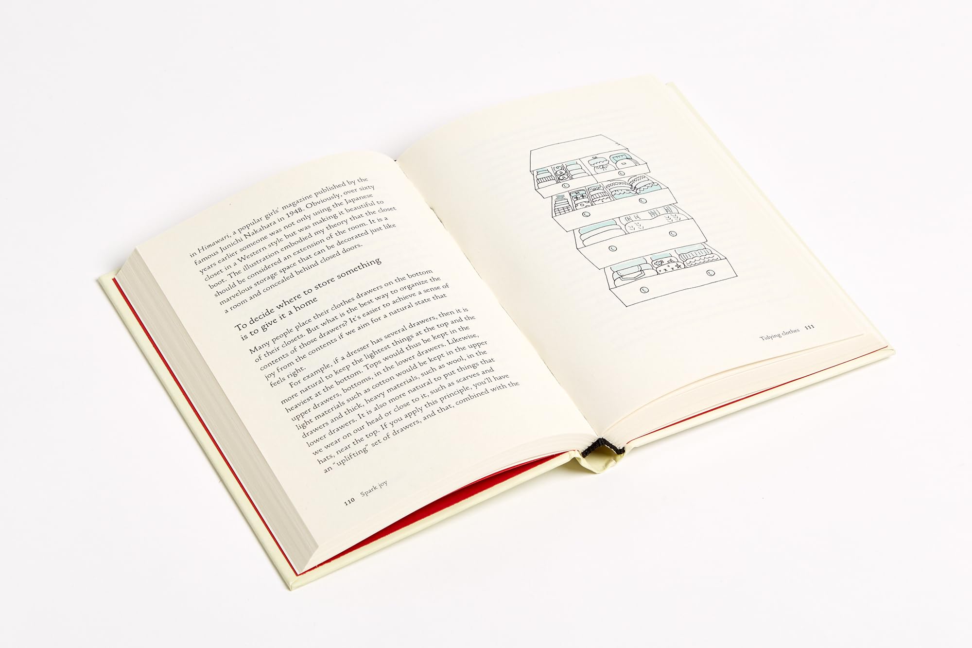 Spark Joy: An Illustrated Master Class on the Art of Organizing and Tidying Up (The Life Changing Magic of Tidying Up)
