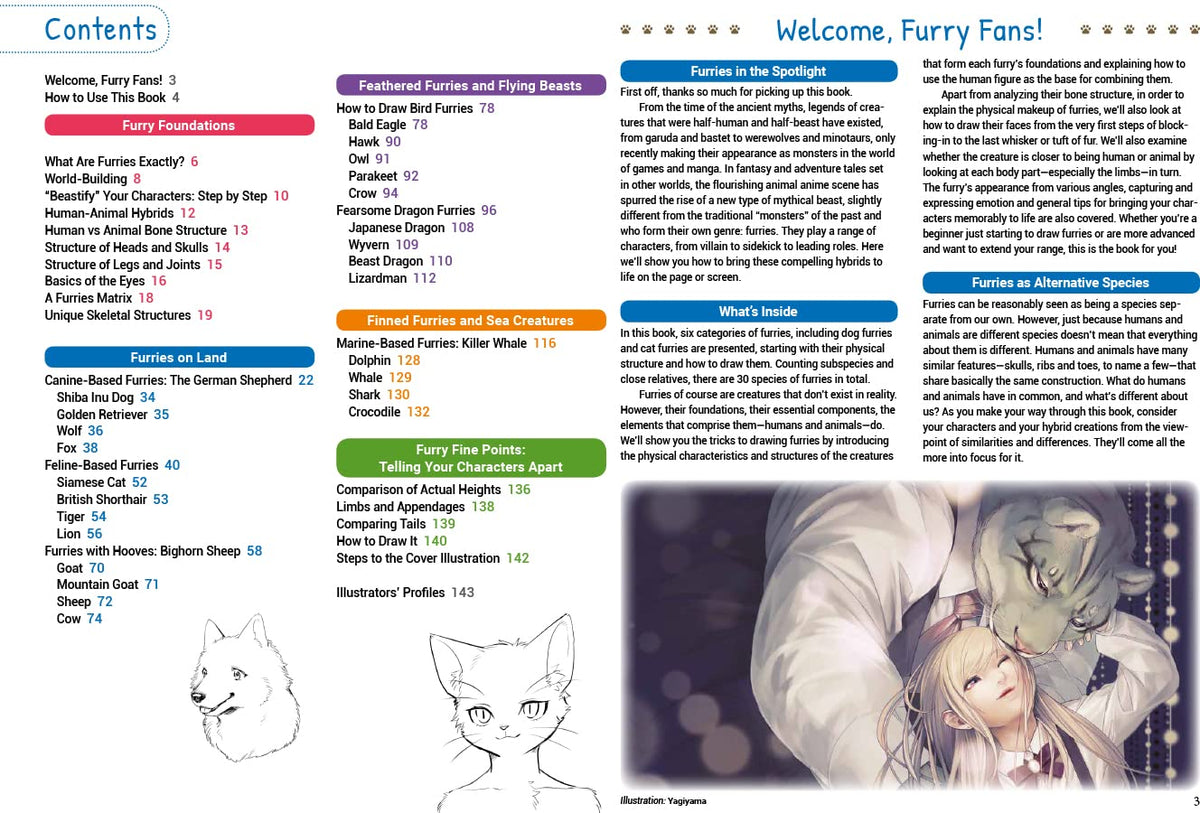 How to Draw Manga Furries: The Complete Guide to Anthropomorphic Fantasy Characters (750 illustrations)