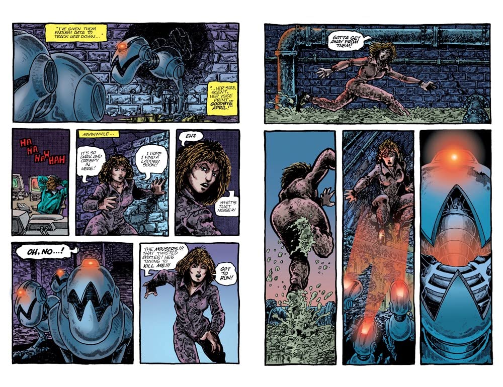 Best of Teenage Mutant Ninja Turtles Collection, Vol. 2