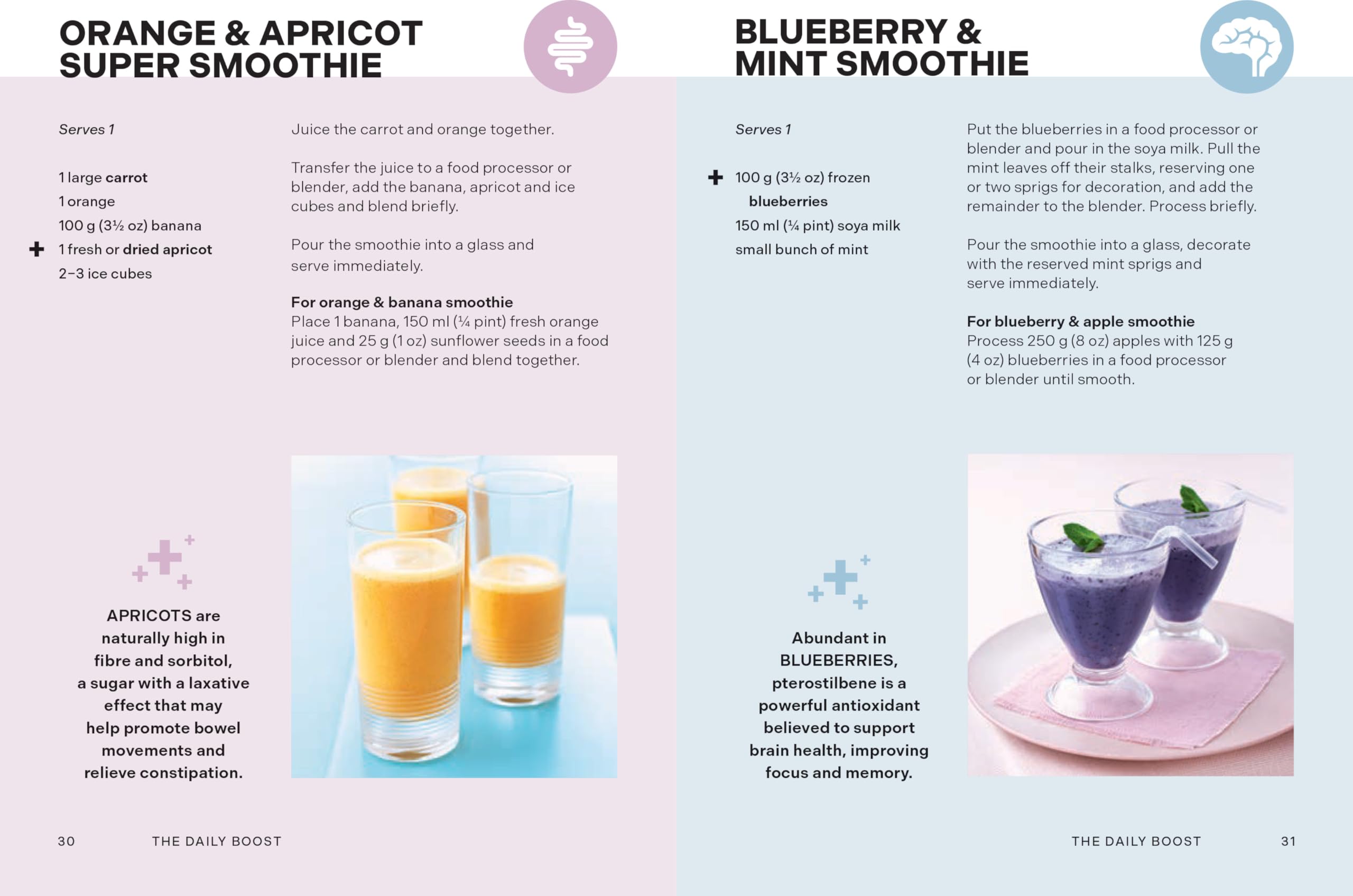 The Daily Boost: A nutritionist’s guide to over 180 healthy juice and smoothie recipes