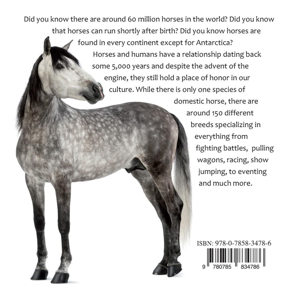 The Noble Horse: Facts and breed information on our equine friends