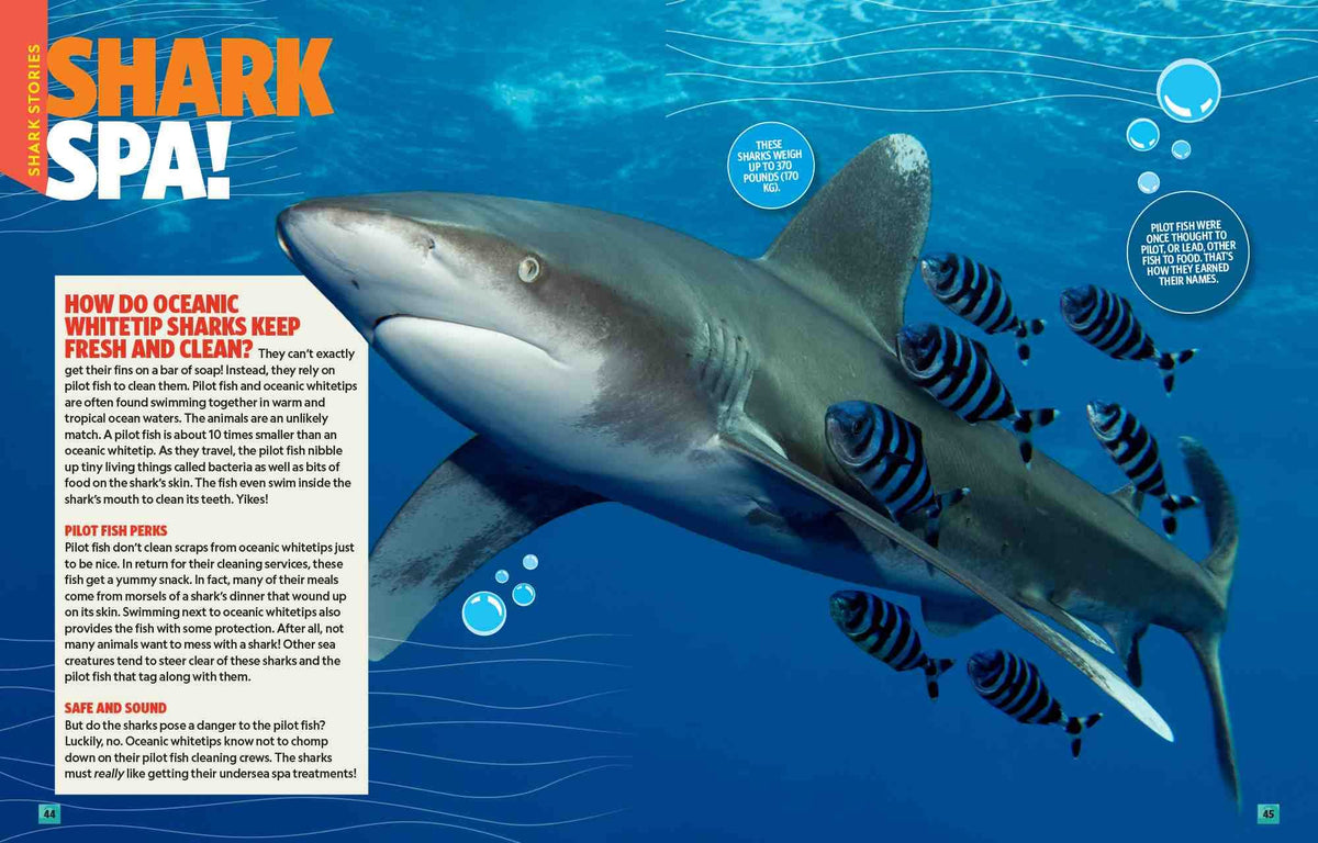 Can't Get Enough Shark Stuff: Fun Facts, Awesome Info, Cool Games, Silly Jokes, and More!