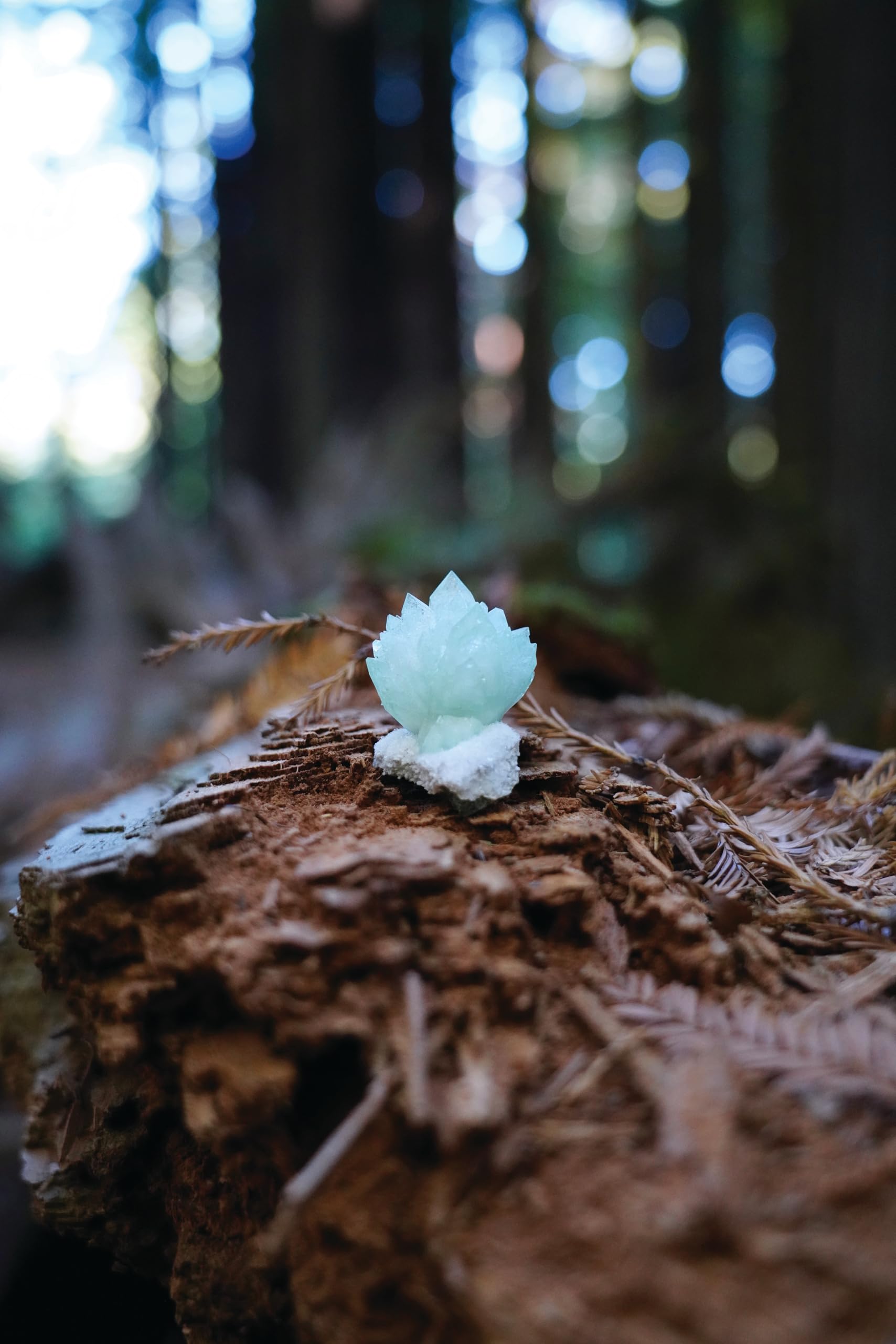 Sensory Crystal Healing: Gem Sorcery to Improve Your Wellbeing and Mindset