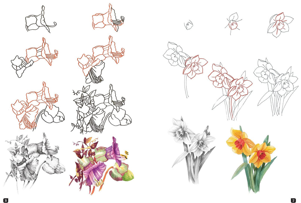 Draw 100: Flowers: From basic shapes to amazing drawings in super-easy steps