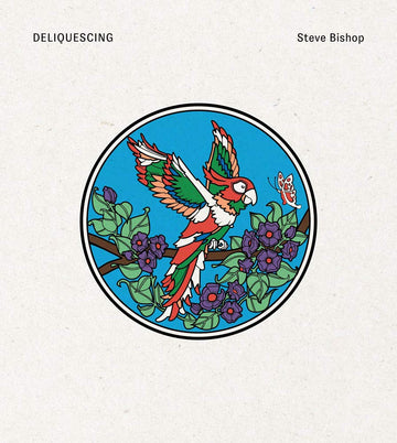 Deliquescing (Sternberg Press)