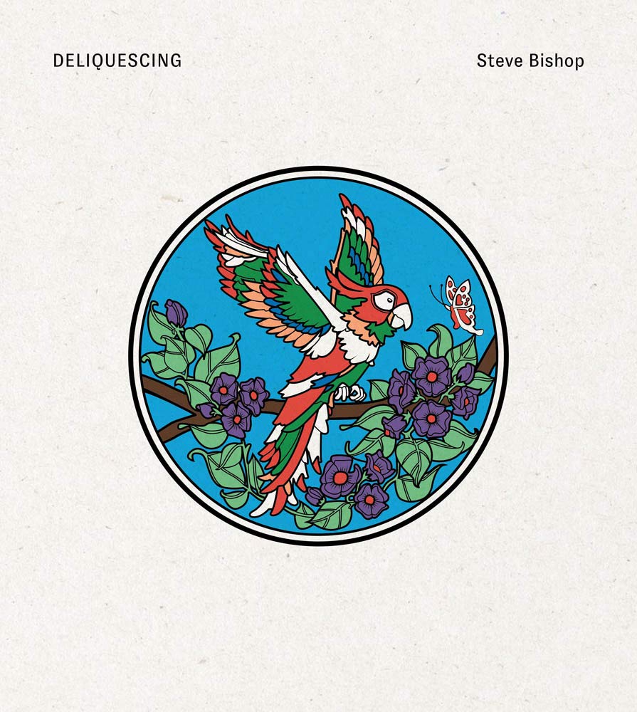 Deliquescing (Sternberg Press)
